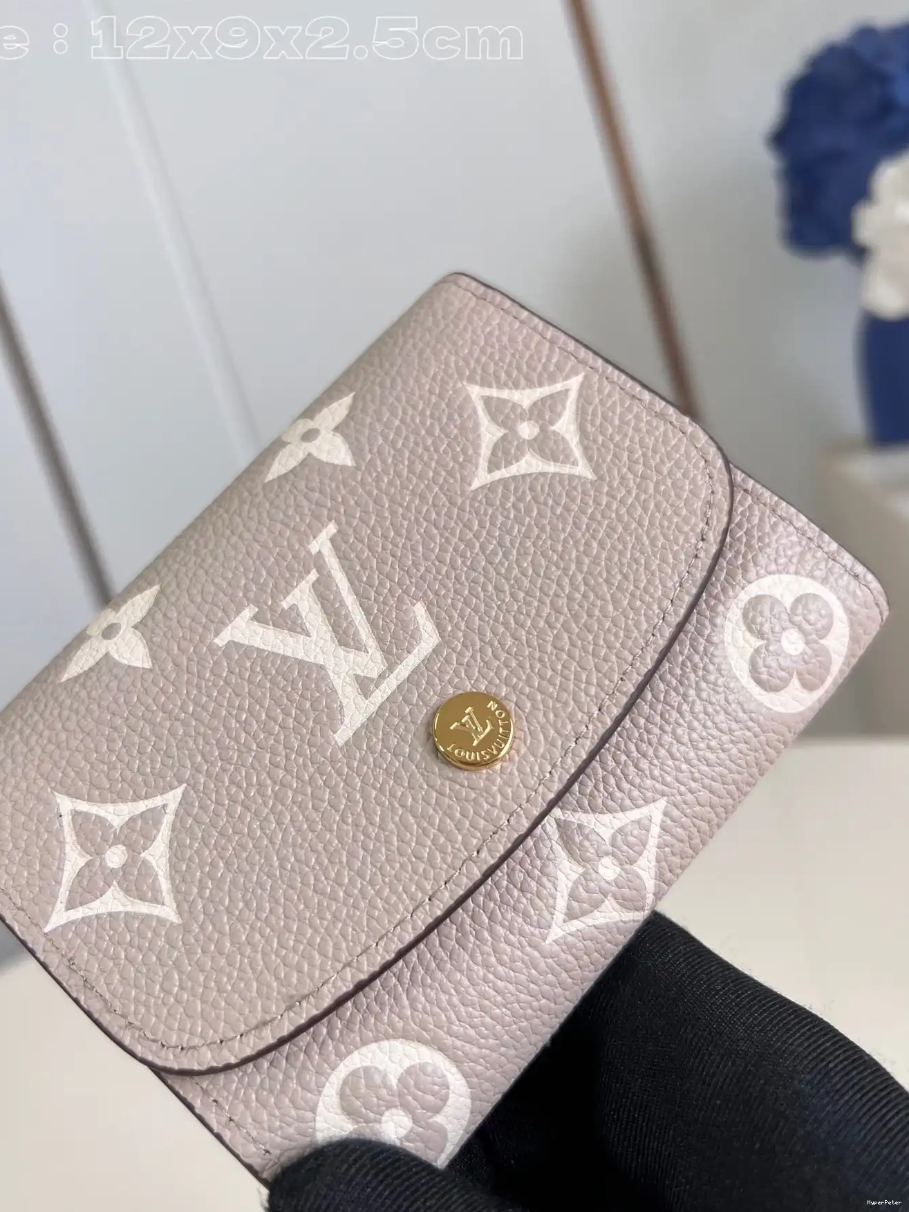 cm VICTORINE VUITTON WALLET-12*9.5*2.5 LOUIS 0317