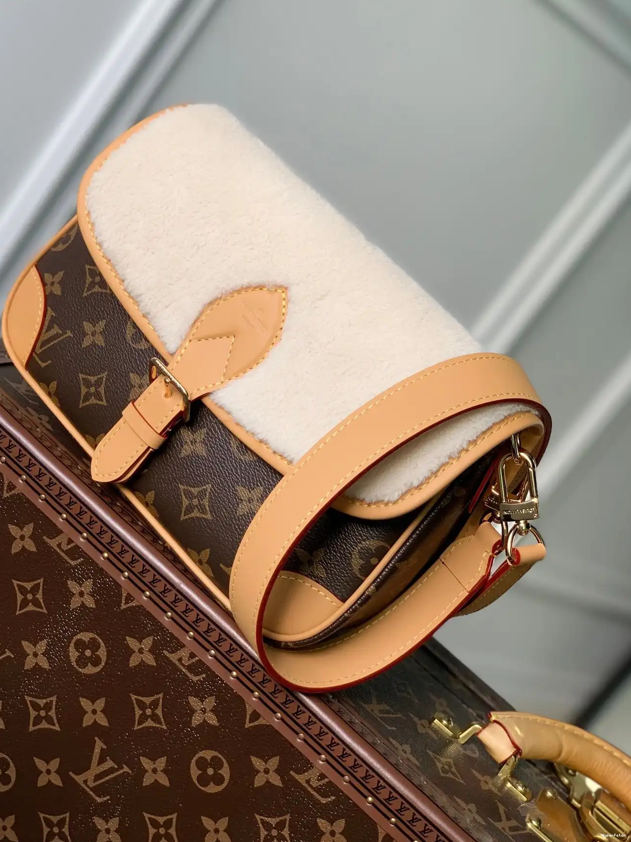 Nano LOUIS VUITTON Diane 0318