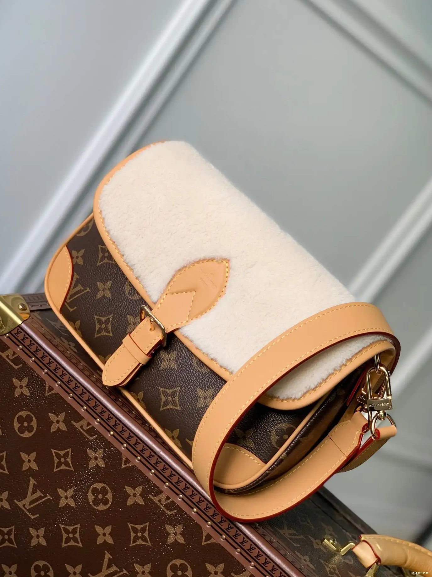 Nano LOUIS VUITTON Diane 0318