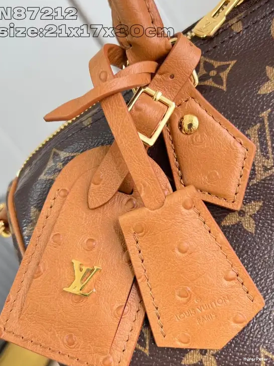 Speedy Boho Louis 30 Soft Vuitton 0318