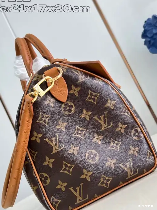 Speedy Boho Louis 30 Soft Vuitton 0318