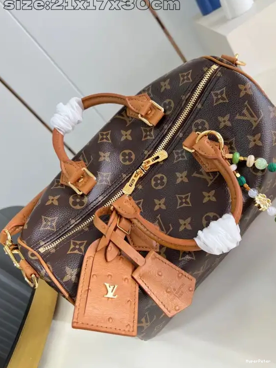 Speedy Boho Louis 30 Soft Vuitton 0318