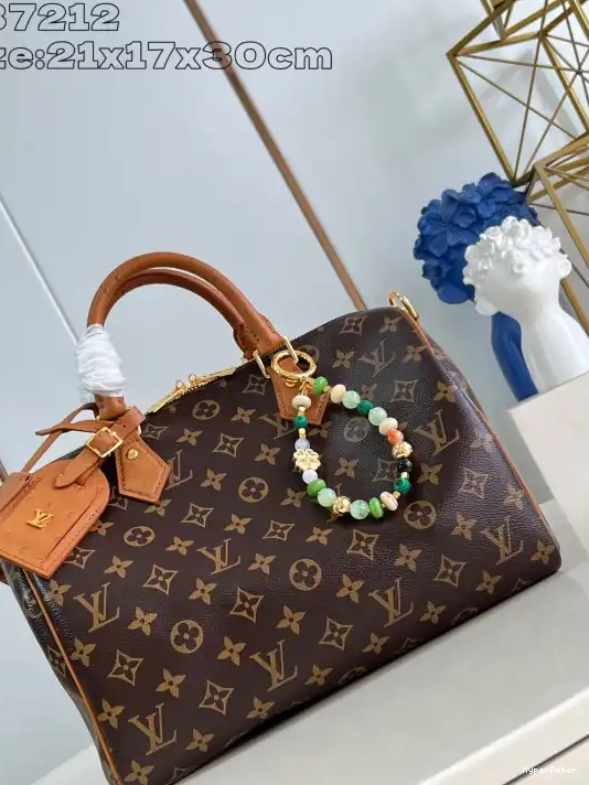 Speedy Boho Louis 30 Soft Vuitton 0318